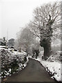 Lane to Brookfield Hall from Shade Oak