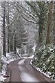 Mid Devon : Country Lane