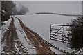 Mid Devon : Field & Tractor Tracks