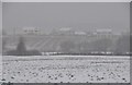 Mid Devon : Snowy Countryside