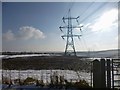 Martinstown, power lines