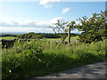 Footpath to Bowbank Wood