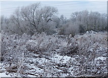 SK5702 : Hard frost on the Aylestone Meadows by Mat Fascione