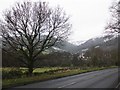 View towards Woodcombe