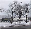 Morrisons through the trees, Cwmbran