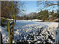 Nerquis/Nercwys cricket field in the snow