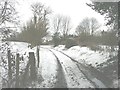 Bridleway to/from Fox Holt Road