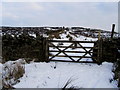 SD7247 : Gate on West Bradford Fell by Chris Heaton