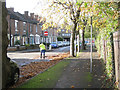 Sweeping up leaves, Guy