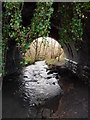 Old Railway Tunnel, near Kirkheaton