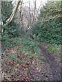 Footpath, near Hinchliffe Mill, Holmfirth