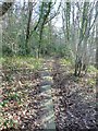 Paved path up the valley of Rigg Mill Beck