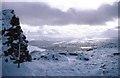 NN4166 : Summit cairn on Carn Dearg by Russel Wills