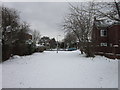 A cycleway leading to Spring Bank West, Hull