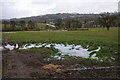 Farmland near Harescombe