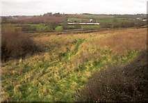 SX8769 : Field at Aller by Derek Harper