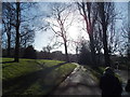 View of houses in Forest Hill from Horniman Gardens #2