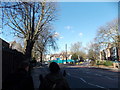 View of Whitegothic House from Lordship Lane