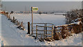 New style gate and fence