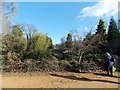 View of the bridge over the stream from the path in Dulwich Park