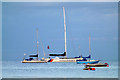 SZ0378 : Yachts moored in Swanage Bay by Phil Champion