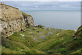 SY9976 : Hedbury Quarry, Isle of Purbeck by Phil Champion