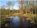 Temporary pond on Danbury Common