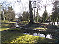 View of vehicle tracks on Dulwich Common