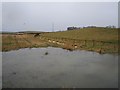 A flooded field corner