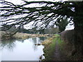 Bridge 169, Oxford Canal