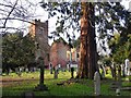 Stanmore churchyard