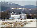 On Castlemorton Common, 3