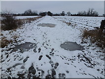 TL4085 : Snowy footprints and frozen puddles by Richard Humphrey
