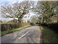 Overwood Lane, Mollington