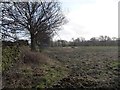 Public footpath to Small Lanes Farm