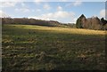 Pasture by the Templer Way