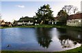 Ashmore Pond by the High Street