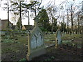 Within St Giles Hill Cemetery (iv)