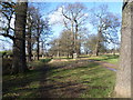 TQ1970 : Path in Richmond Park by Marathon