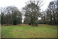 Footpath, Chorleywood Common