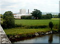 River meadow, Llangadog