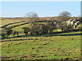 Farmland east of Black Hill