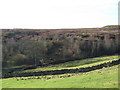 Farmland above Black Burn