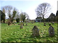 Long Crichel, churchyard