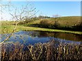 Flooding, Beagh