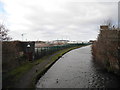 Ashton Canal, Clayton, Manchester