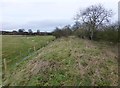 Trackbed of the old Alnwick to Cornhill railway