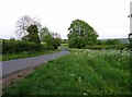 Breedon Lane towards Osgathorpe