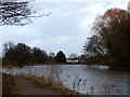 Walton Dam