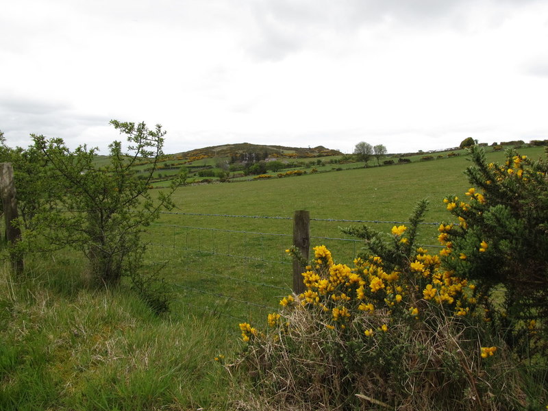 Sloping land above Drumboniff Road © Eric Jones :: Geograph Ireland